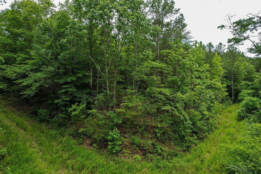 Land in Athens, Tennessee, United States 3 - 17619435
