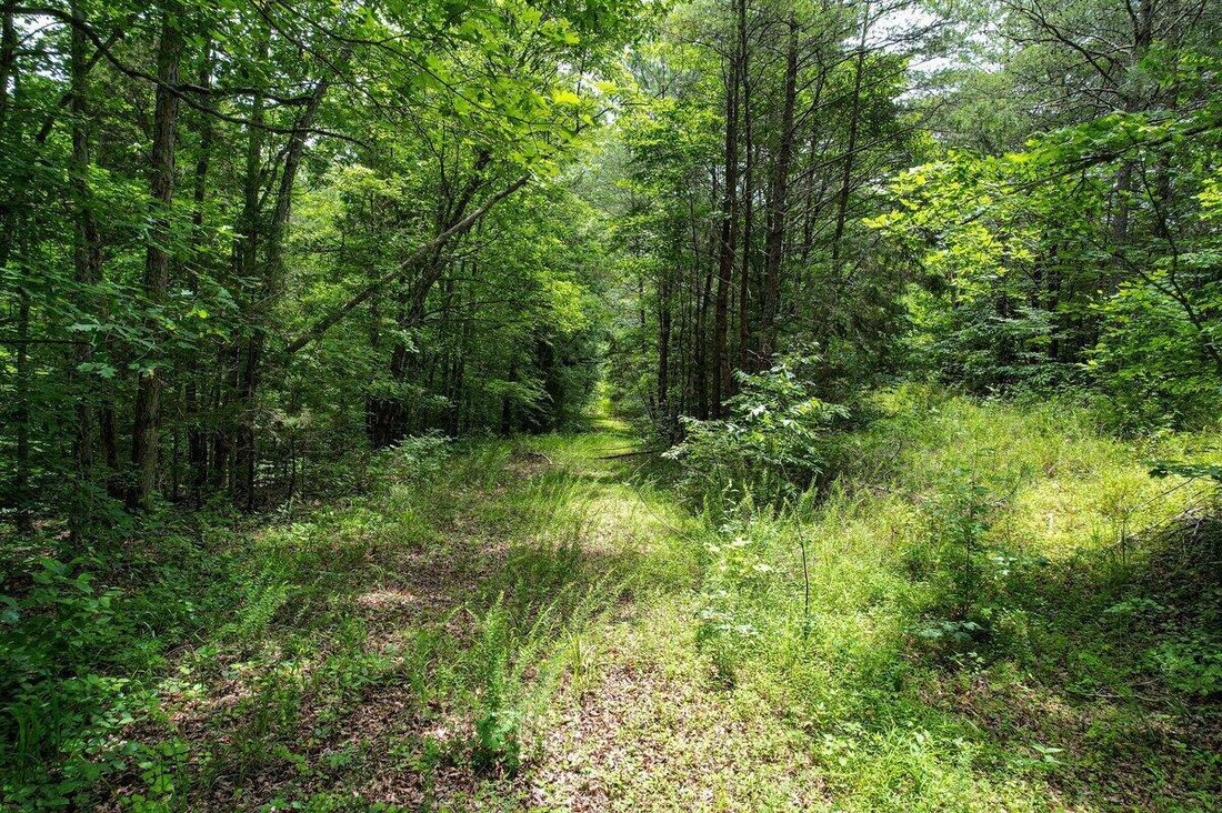 Land in Athens, Tennessee, United States 5 - 17619435