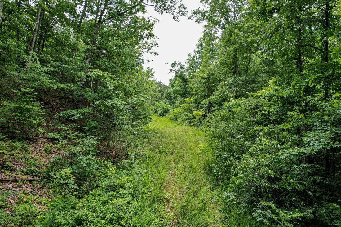 Land in Athens, Tennessee, United States 2 - 17619435
