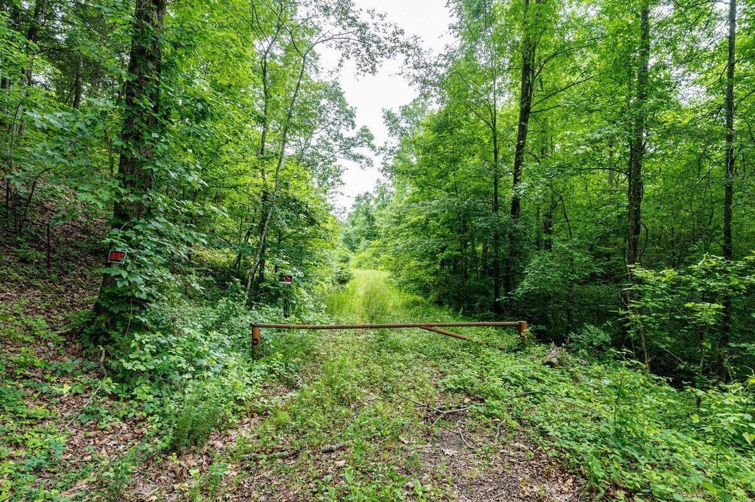 Land in Athens, Tennessee, United States 1 - 17619435
