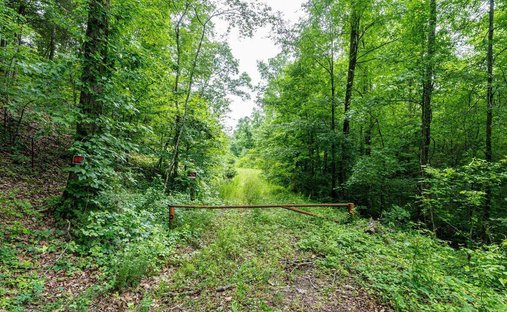 Land in Athens, Tennessee, United States 1