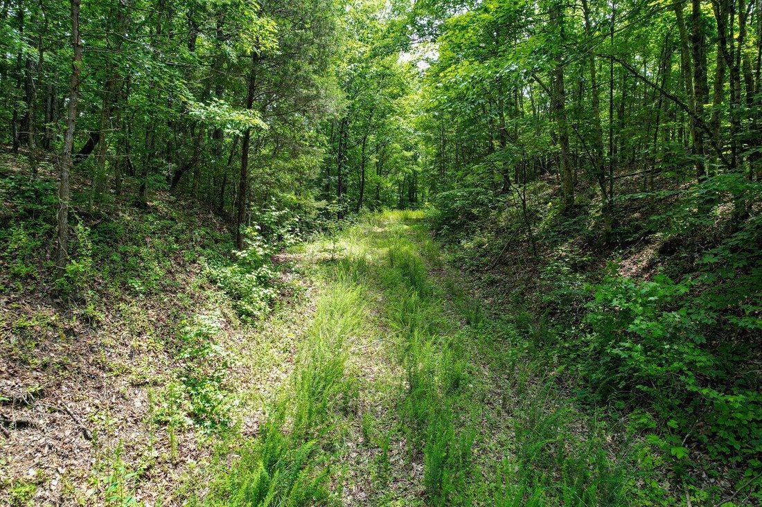 Land in Athens, Tennessee, United States 4 - 17619435