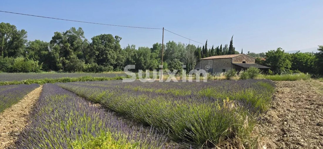 Farm Ranch in Taulignan, Auvergne-Rhône-Alpes, France 2 - 17619552