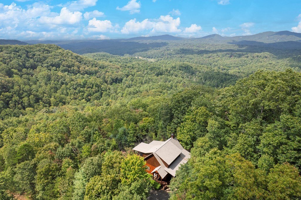 House in Mineral Bluff, Georgia, United States 2 - 17619376