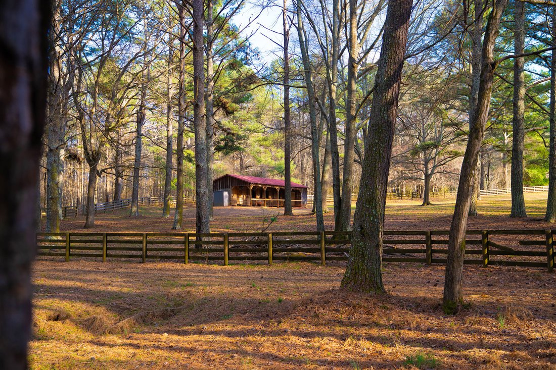 House in Chattahoochee Hills, Georgia, United States 3 - 17619719