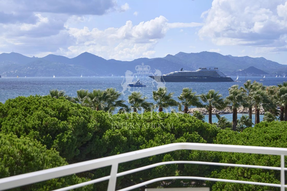 Apartment in Cannes, Provence-Alpes-Côte d'Azur, France 1 - 14142919