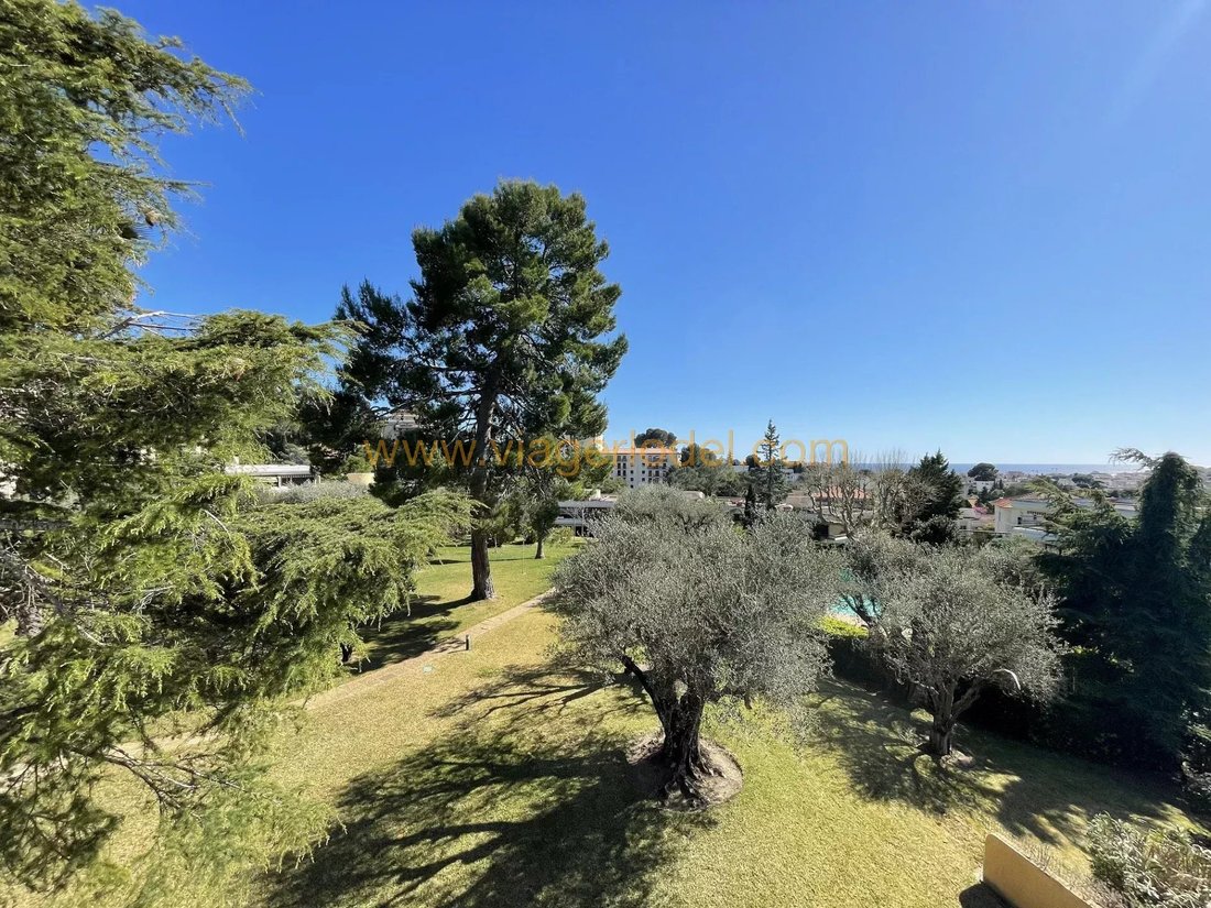 Apartment in Dolce Farniente, Le Cannet, France 1 - 17619903