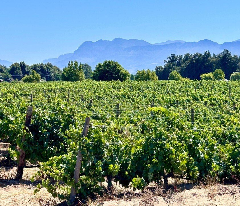 Land in Val de Vie, Western Cape, South Africa 5 - 17623946