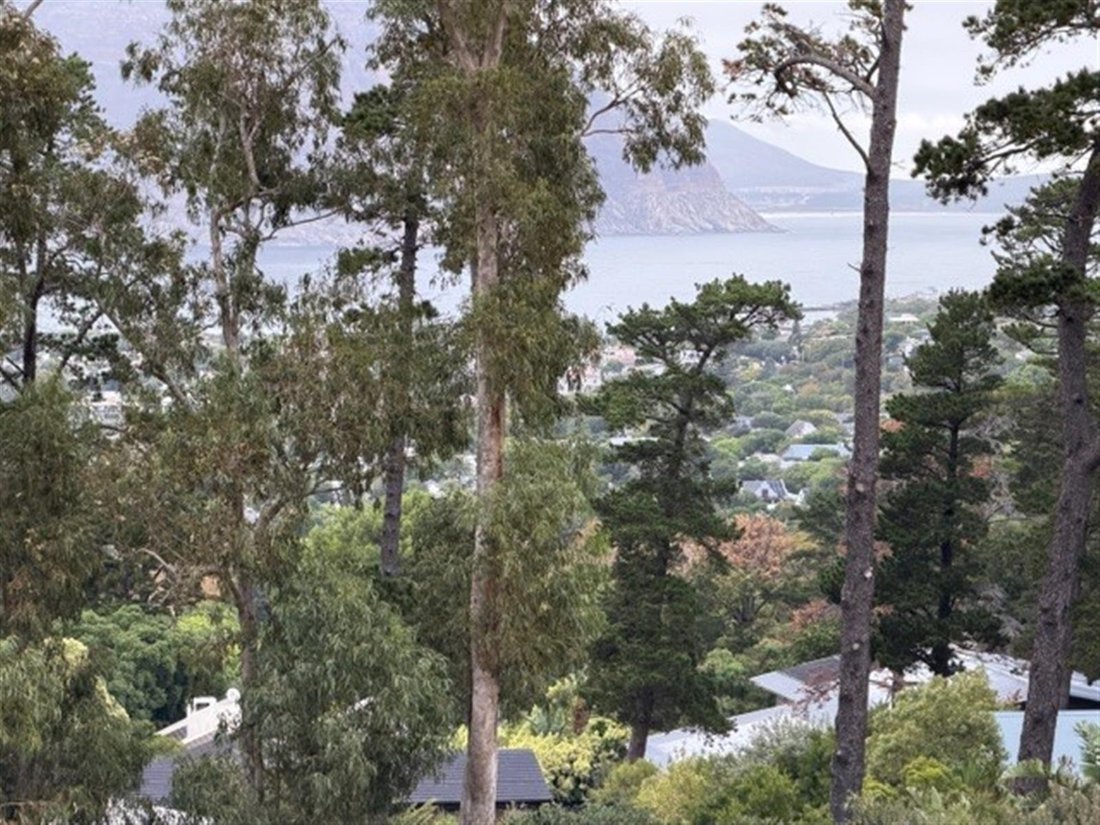 Land in Scott Estate, Cape Town, South Africa 1 - 17622723
