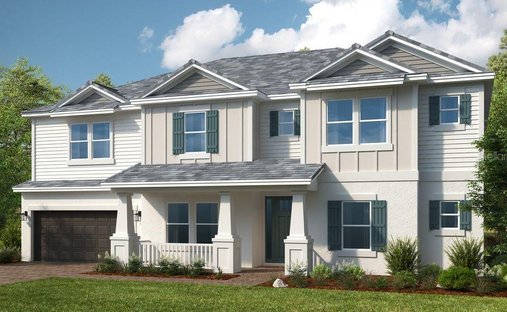 House in Odessa, Florida, United States 1