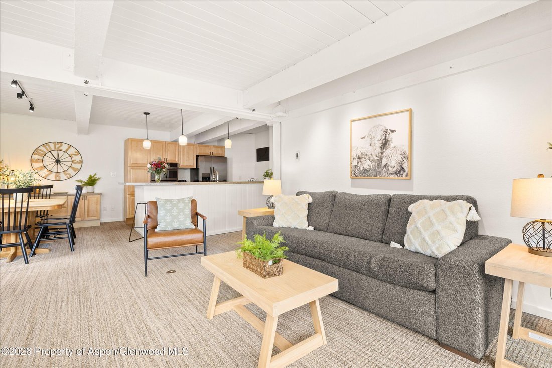 Condo in Snowmass Village, Colorado, United States 5 - 17622583