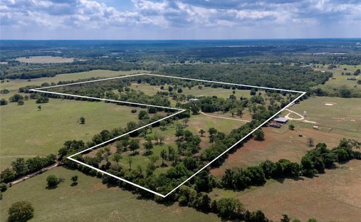 House in Davilla, Texas, United States 1