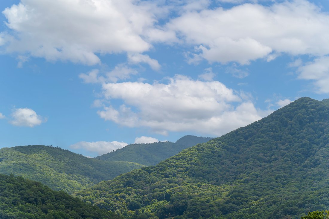 House in Maggie Valley, North Carolina, United States 3 - 17623440