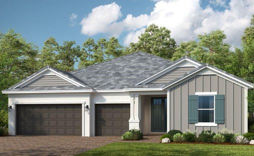 House in Odessa, Florida, United States 1