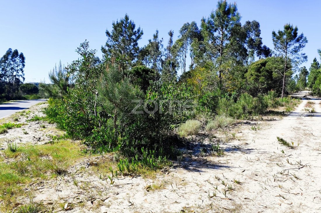 Land in Melides, Setubal, Portugal 3 - 17623247