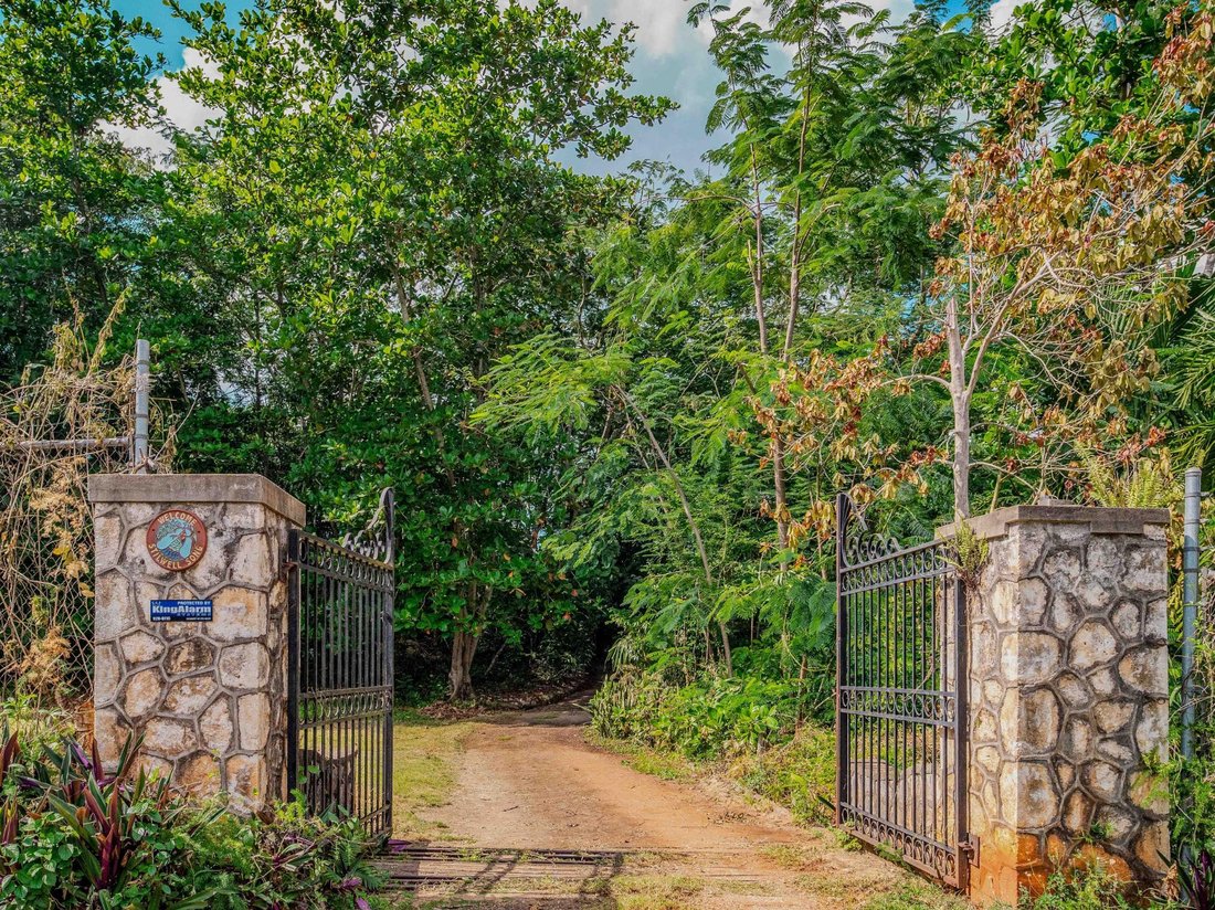 Land in Kingston, St. Andrew Parish, Jamaica 2 - 17624021
