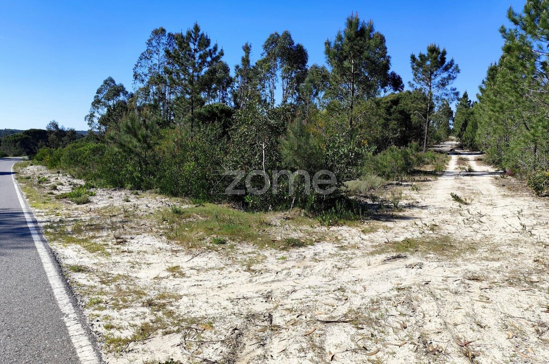 Land in Melides, Setubal, Portugal 4 - 17623247