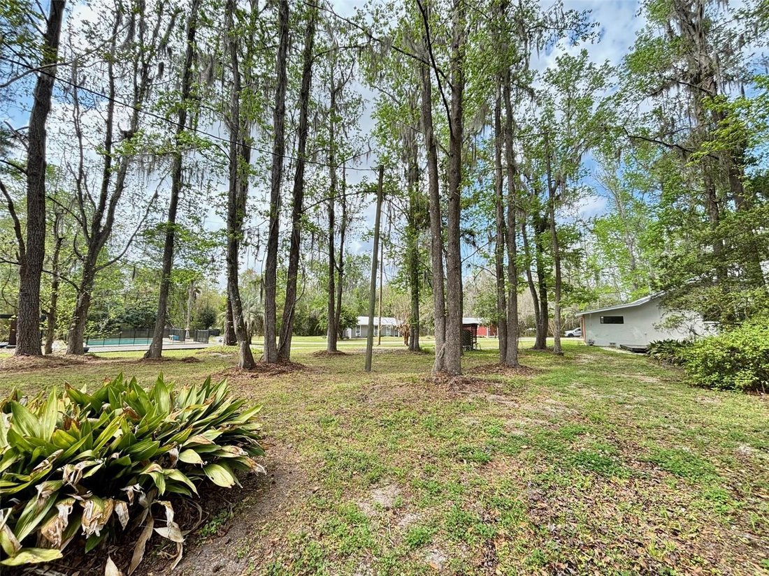 House in Alachua, Florida, United States 5 - 17621781