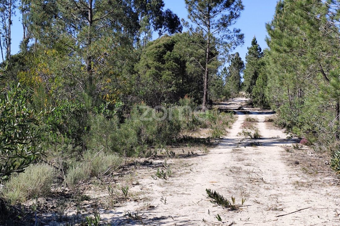 Land in Melides, Setubal, Portugal 2 - 17623247