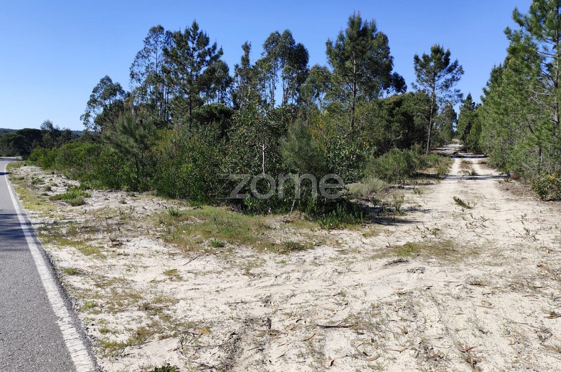 Land in Melides, Setubal, Portugal 1 - 17623247