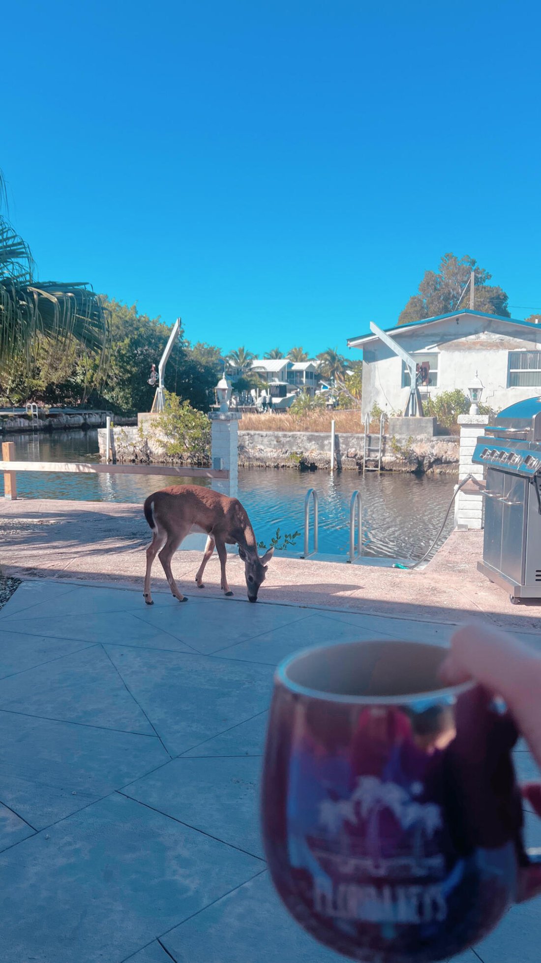 House in Big Pine Key, Florida, United States 2 - 17624769