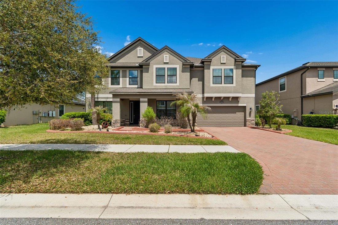 House in Tampa, Florida, United States 4 - 17625246