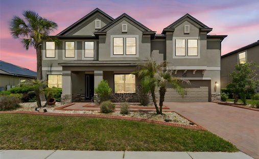 Maison à Tampa, Floride, États-Unis 1