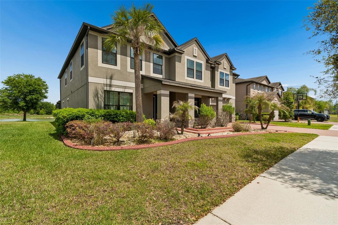 House in Tampa, Florida, United States 5 - 17625246