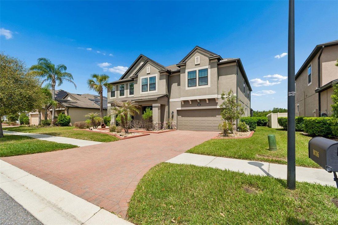 House in Tampa, Florida, United States 3 - 17625246