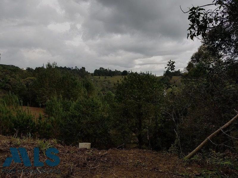 Terrain à Rionegro, Rionegro, Colombie 5 - 17625877