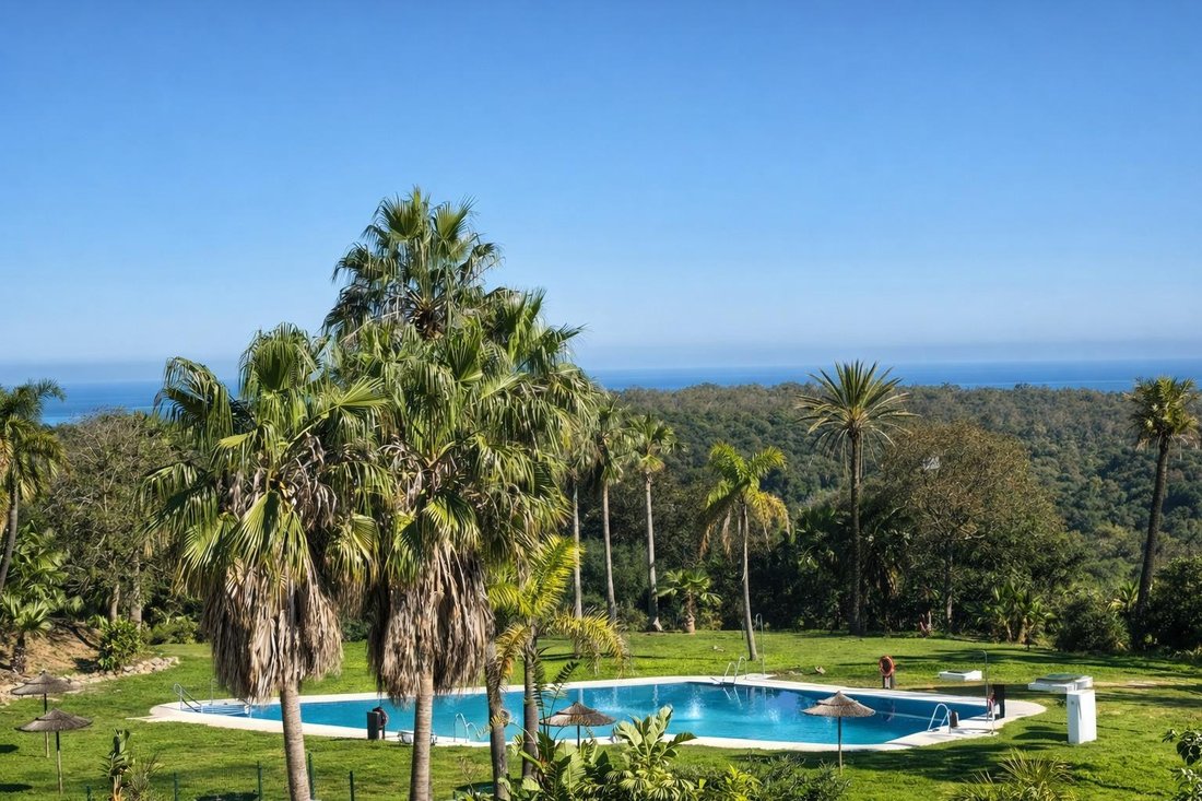 Apartment in Sotogrande, San Roque, Andalusia 3 - 17625321
