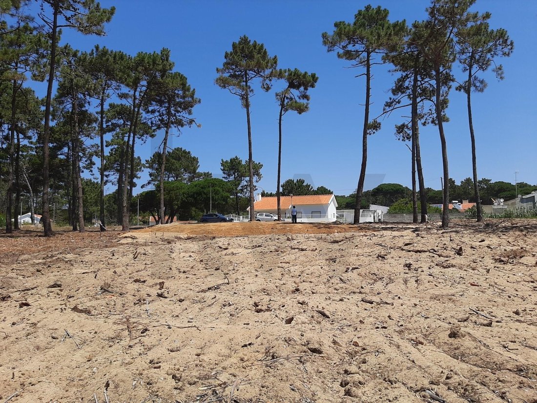 Land in Colares, Lisbon, Portugal 4 - 17626098