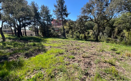 Land in Grimaud, Provence-Alpes-Côte d'Azur, France 1