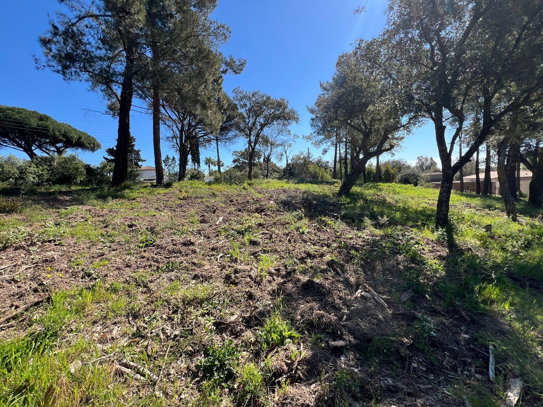 Land in Grimaud, Provence-Alpes-Côte d'Azur, France 1 - 17626301