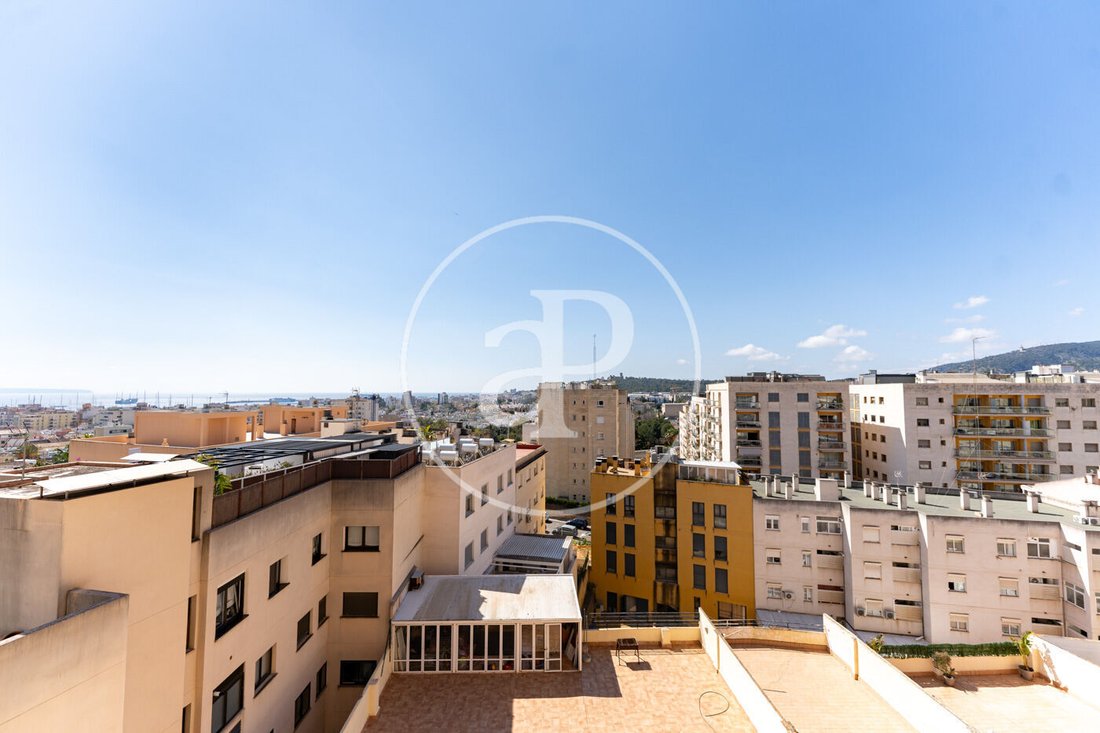 Apartment in Palma, Balearic Islands, Spain 5 - 16620850