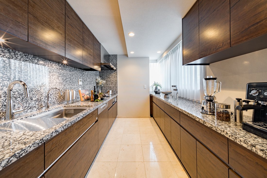 Penthouse in Minato City, Tokyo, Japan 5 - 17627211