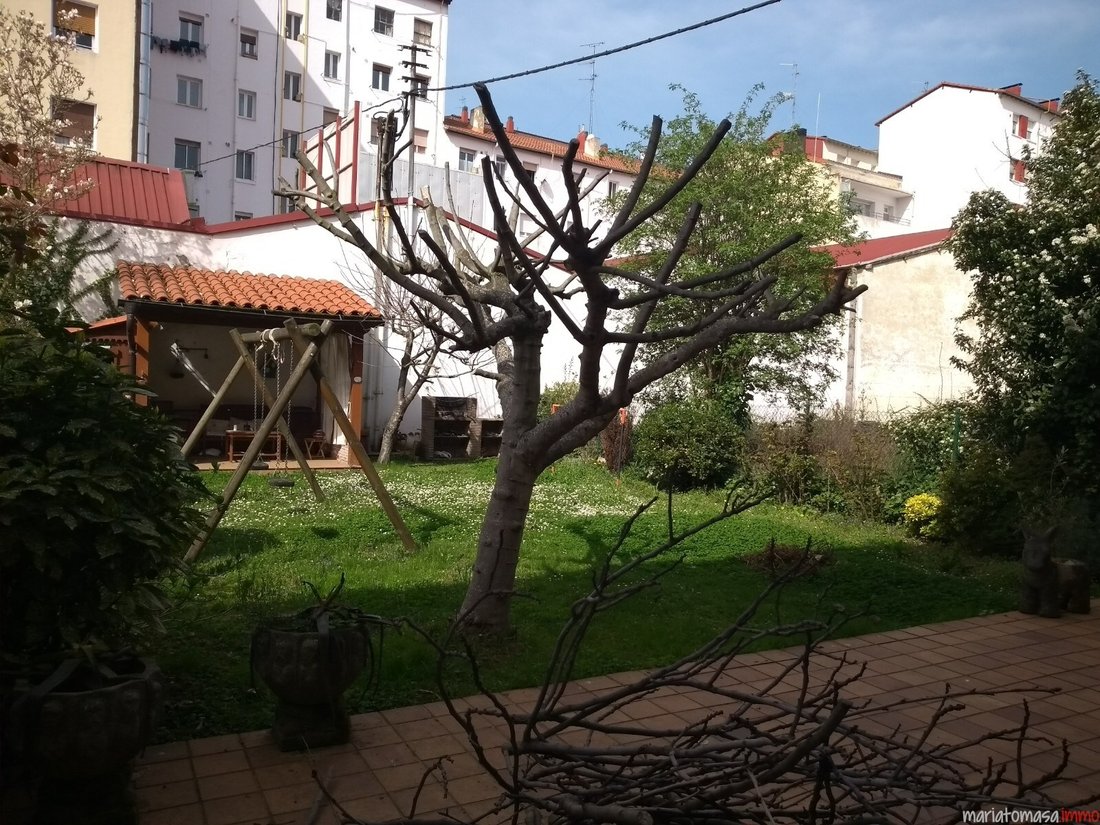 Chalet in Vitoria-Gasteiz, Basque Country, Spain 4 - 17627107