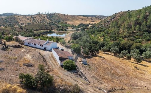Azienda agricola a Mexilhoeira Grande, Algarve, Portogallo 1