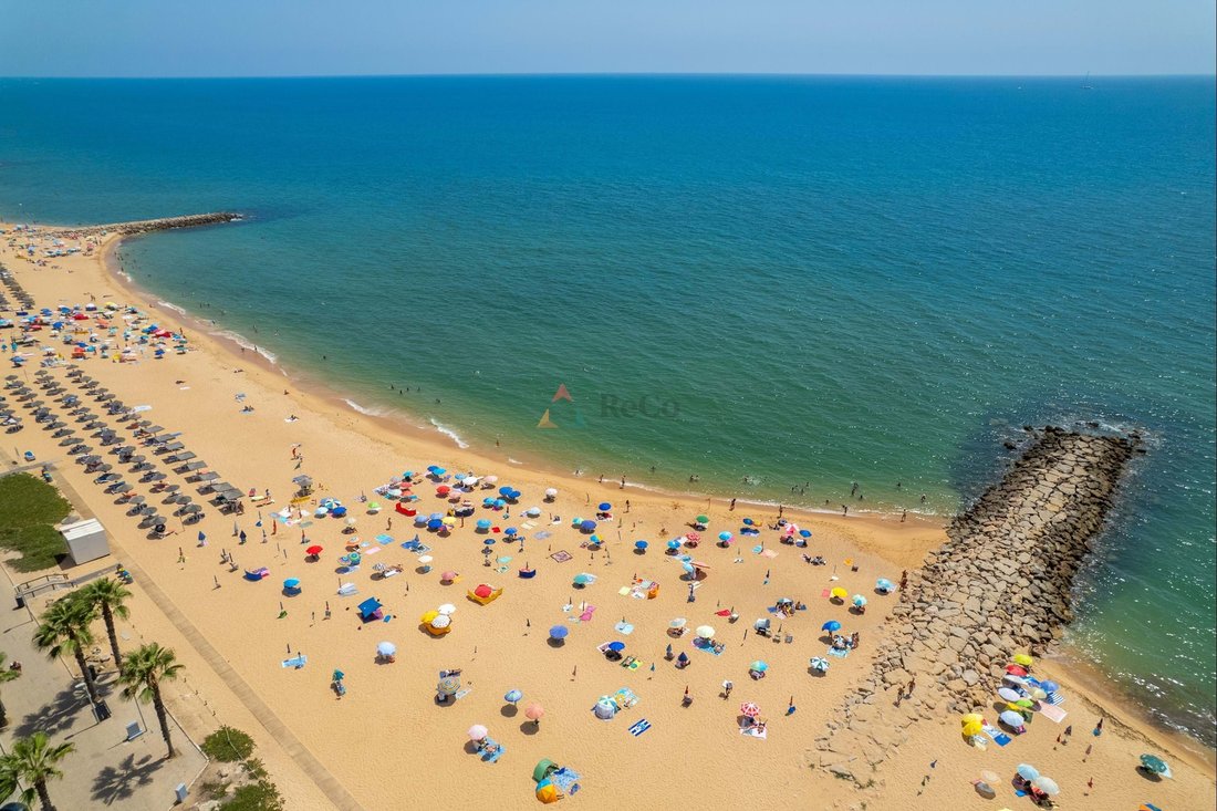Apartment in Vilamoura, Quarteira, Algarve 4 - 16544644