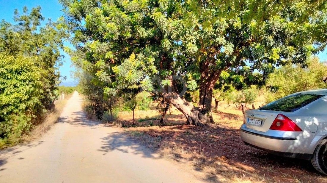Terreno a Marratxí, Isole Baleari, Spagna 4 - 17627103