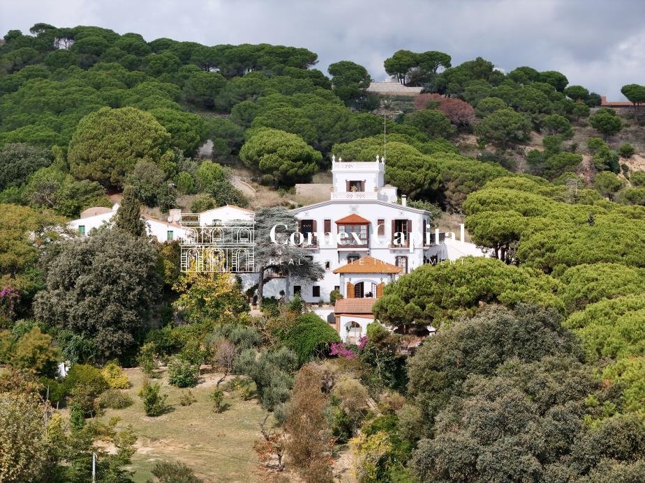Estate in Sant Andreu de Llavaneres, Catalonia, Spain 3 - 17627270