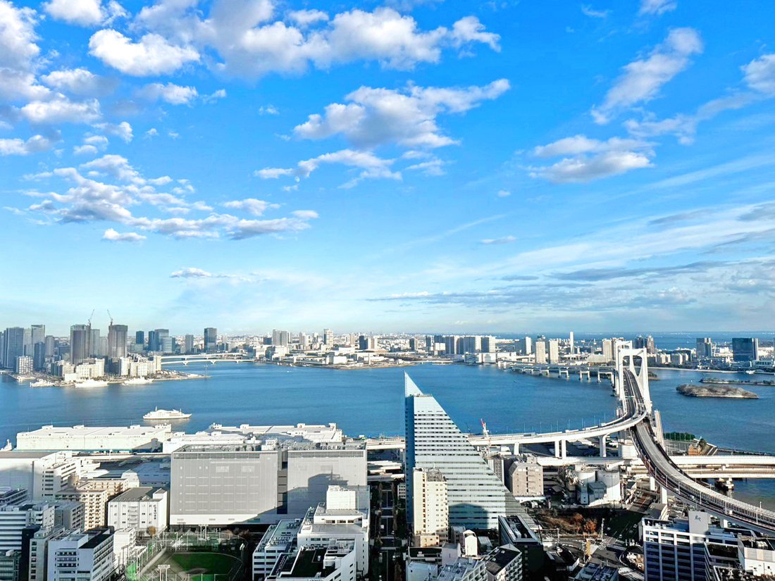 Condo in Minato City, Tokyo, Japan 3 - 17627440