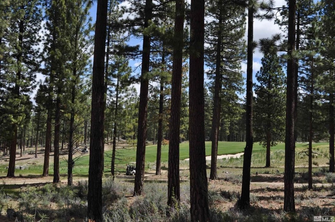 Land in Genoa, Nevada, United States 2 - 14472729