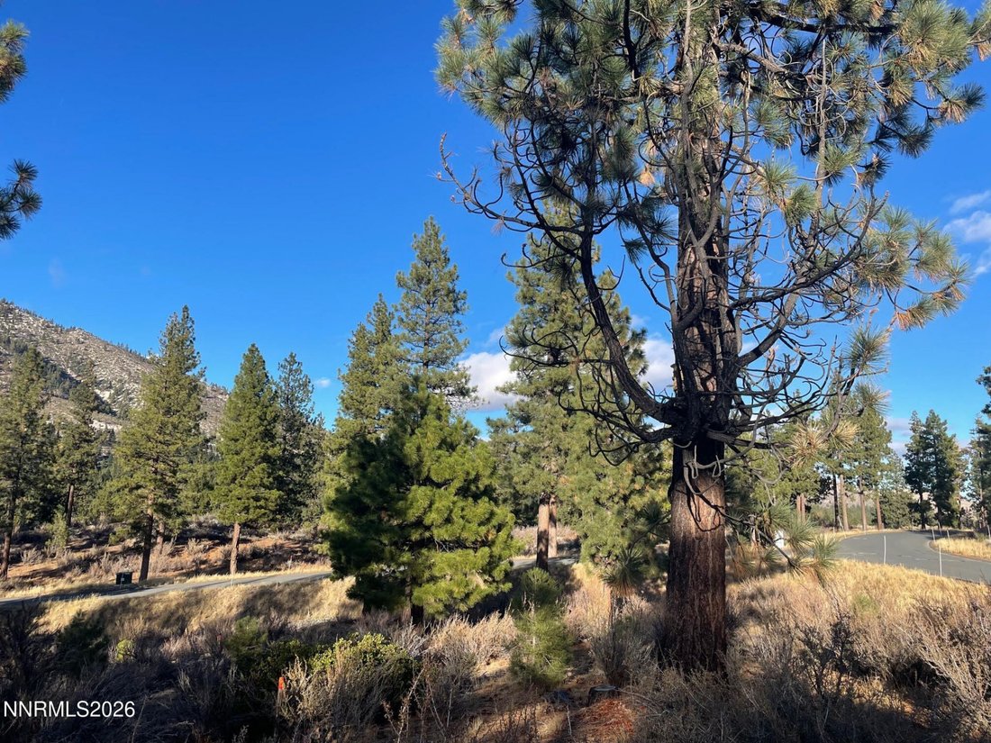 Land in Genoa, Nevada, United States 1 - 17637331