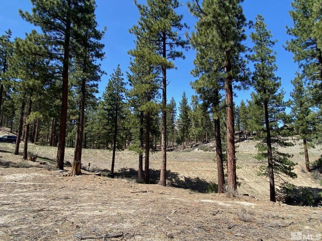 Land in Genoa, Nevada, United States 1 - 15191307