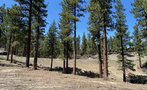 Terrain à Genoa, Nevada, États-Unis 1
