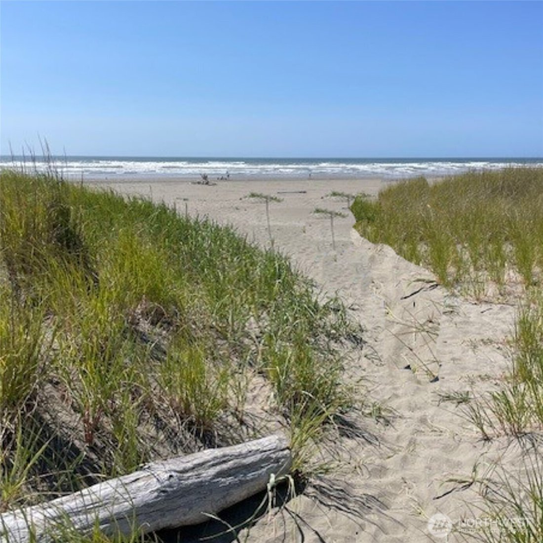Land in Ocean City, Washington, United States 2 - 15075790