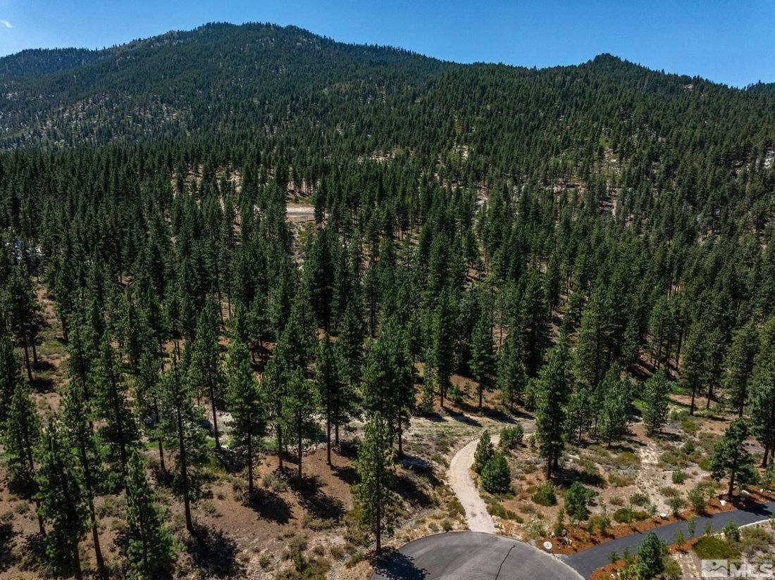 Land in Genoa, Nevada, United States 2 - 14610647