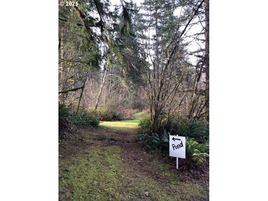 House in Amboy, Washington, United States 3 - 16470447