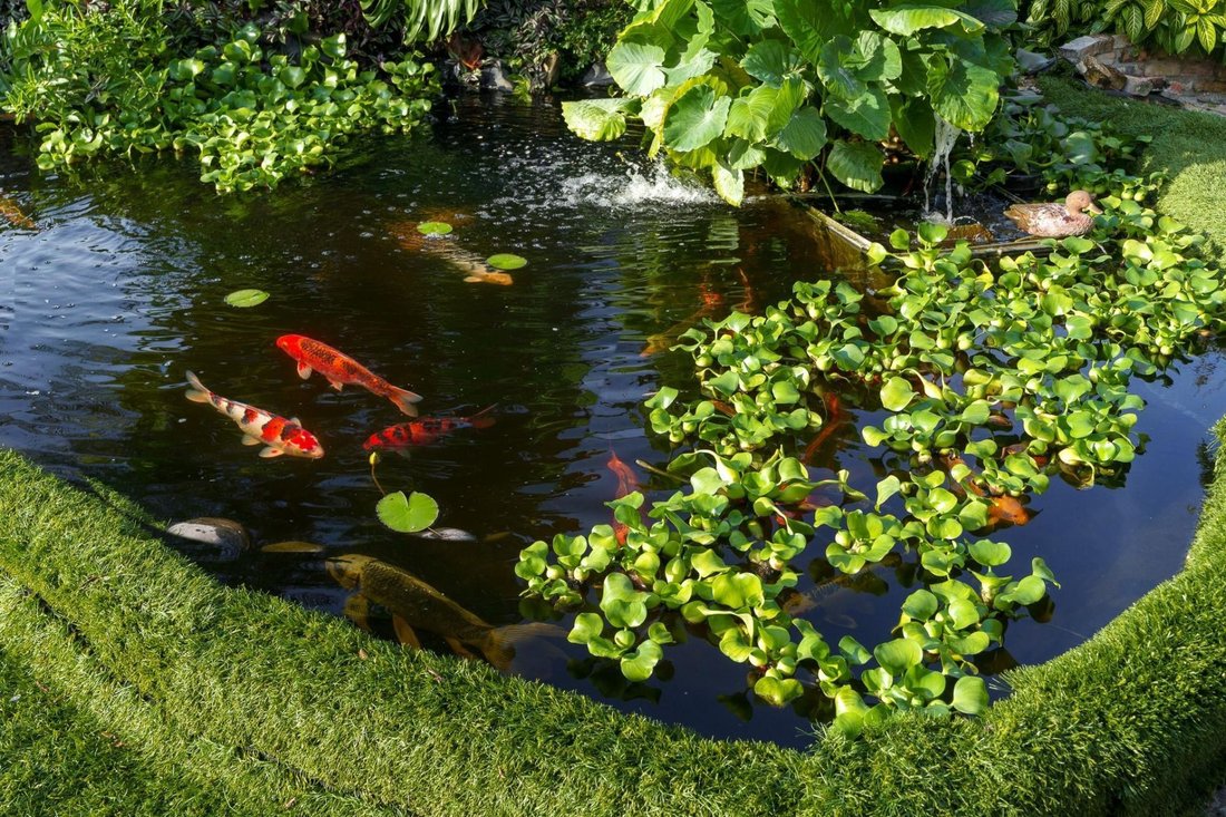 House in Davie, Florida, United States 5 - 16641549